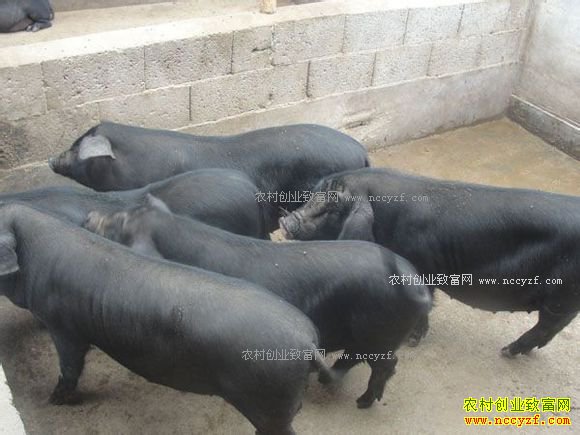 ������Ϫ�ش�ѧ����������ֳ������ũ�¸�