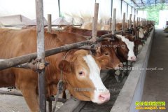 ���ݳ�ˮ����Ƽ���紴ҵ��ţ��ţ����׬30��