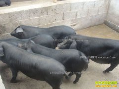 ������Ϫ�ش�ѧ����������ֳ������ũ�¸�