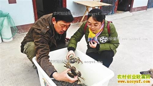 ����ͭ���ʹ��ֵ�����ֳ��բз��ũ���¸�����Ŀ