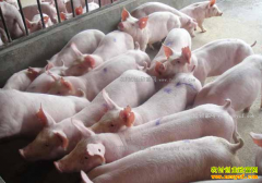 ���Ͻ��������ϰ塱���ӹ�����������ͻ��100��Ԫ