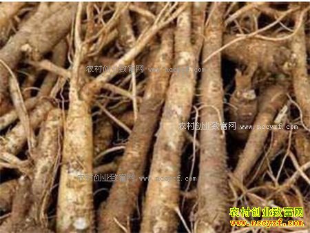 2017�����۸�����Ԥ��