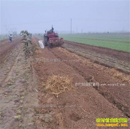 2017�����۸�����Ԥ��