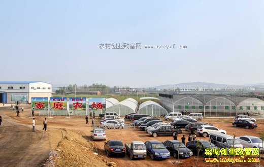 2017���ͥũ��׬Ǯ�� ��ͥũ��׬ǮС����