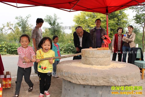 2017��ũ���ʲô��׬Ǯ-����ũҵ