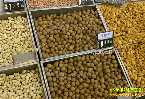 ���ɹ���׬Ǯ�𣺴��ڴ����ɹ�����