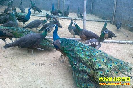 ������Ϫ�������ֳ����ȸ��׬10����