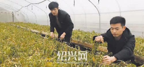 �㽭�����ܷ������ֲ��Ƥʯ��΢��Ӫ����׬Ǯ