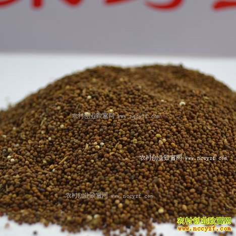 ��˿�Ӷ���Ǯһ�������˿�Ӽ۸�����