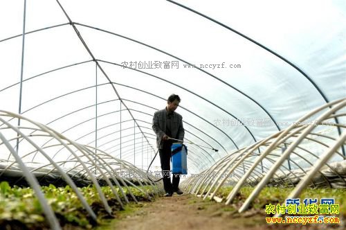 ���պ�����ѧ���������ֲ���޾�����30����