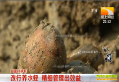 �¸��ð�����������ɽ������������ˮ��Ч���