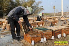 ���������������������������������600����Ԫ