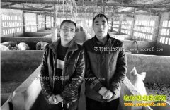 ��������������ɷ���������ҵ����15��