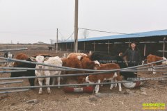 ɽ������ũ��²���������ţһ������24��Ԫ