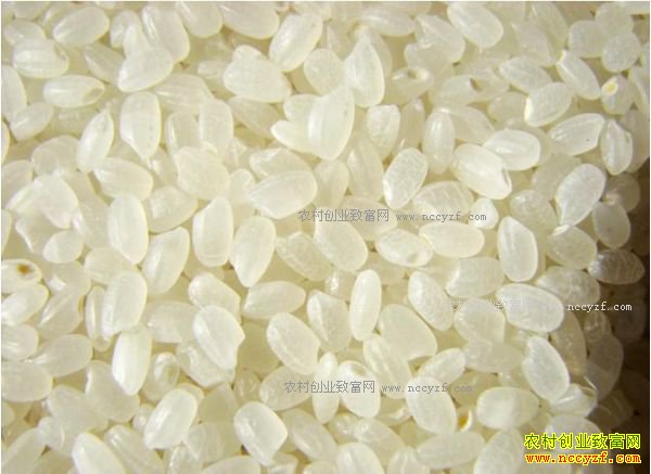 2017��ũ��ӹ�ʲô������·-����ӹ�