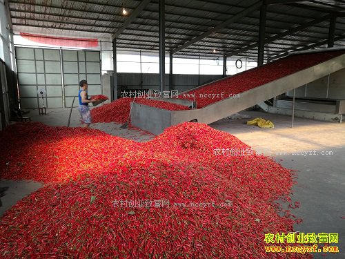 2017��ũ��ӹ�ʲô������·-�����ӹ�