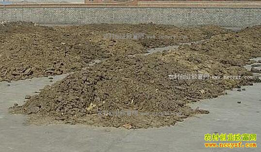 2017��ũ��ӹ�ʲô������·-�л��ʼӹ�