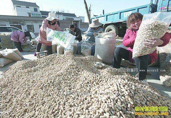 2017��ũ��ӹ�ʲô������·-�����ӹ�