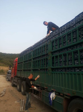 ������ԭ��������תũ��Ʒ������ũ�¸�