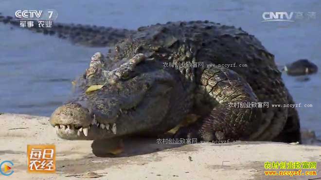 [ÿ��ũ��] ����Ѫɱ�֡����������ĲƸ� 20170213