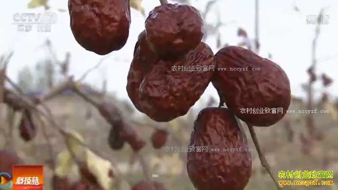 [�Ƽ�Է]������ġ��ɼ��� 20170204