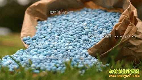 2017�긴�Ϸʼ۸����飺ԭ�ϼ۸����ǡ����Ϸ����ƴ���