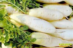 �����������»�ů���ܲ��۸��µ�