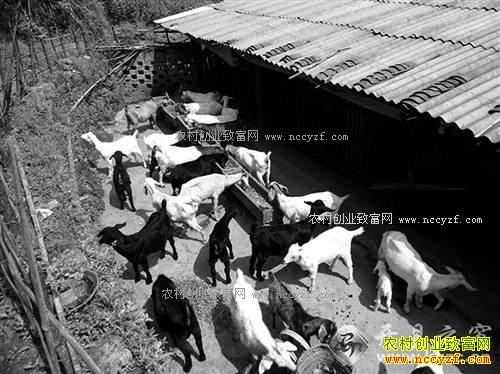 ���쿪����������������ֹ�������ʮ��Ԫ