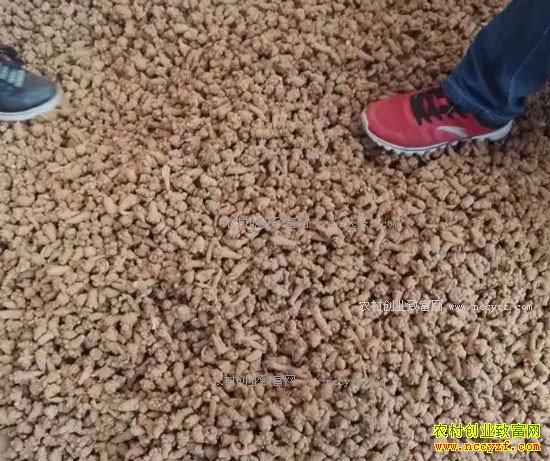 2017����ɽ���߼۸���������Ԥ��