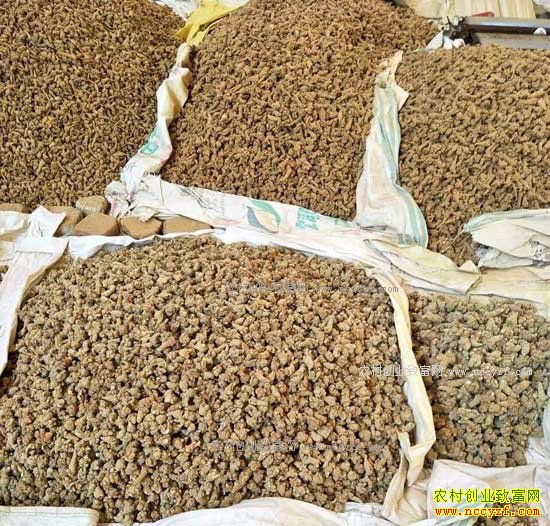 2017����ɽ���߼۸���������Ԥ��