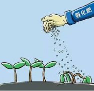 �����������������ٻ���