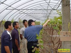 ����һ�����������Σ���Щ�����ʺ�����һ��������ֲ������