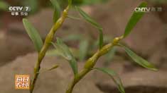 [ÿ��ũ��]���ݳ�ˮ������ʯͷ�Ͻ���ʯ����ֵǮ