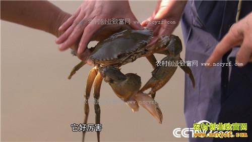 �¸�������ǿŮ�� ������Գ�ǧ��� (201602013)