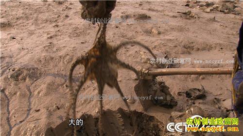 �¸�������ǿŮ�� ������Գ�ǧ��� (201602013)