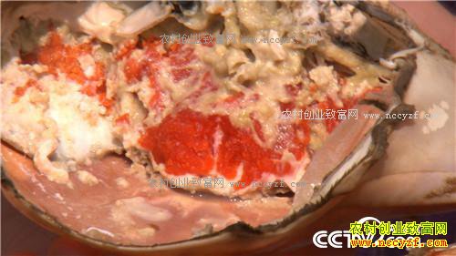 �¸�������ǿŮ�� ������Գ�ǧ��� (201602013)