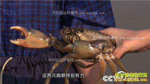 [�¸���]�㽭̨�ݳ�������Ӫũ����������Գ�ǧ��Ƹ�