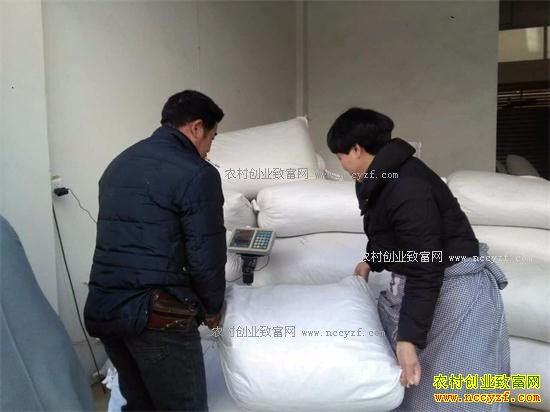 2017����ҩ��̫�Ӳμ۸����鼰����Ԥ��