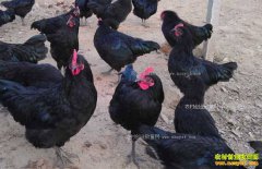 �½������ء��ڼ������������˵������¸��ŵ�