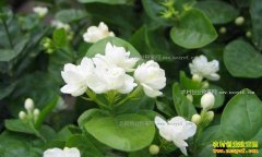 ������������������������������Ķ��Ч���2.6��Ԫ