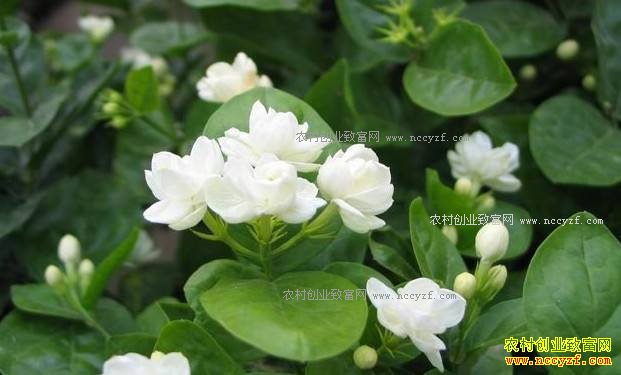 ������������������������������Ķ��Ч���2.6��Ԫ