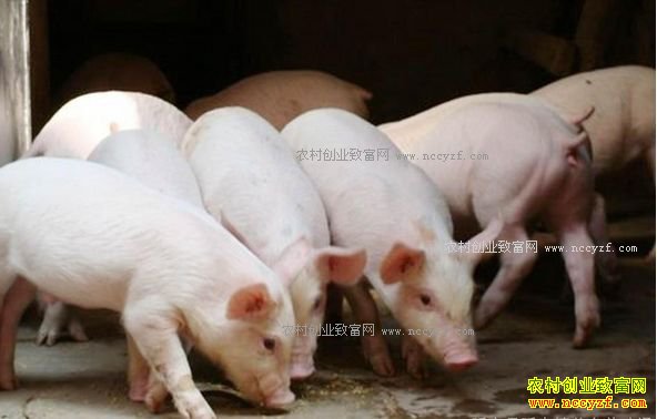 ����ͩ������÷���������¸�·