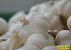 2017��3��13�պ�����Ĳ���´���۸���������