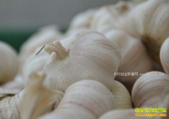 2017��2��15��ɽ���������´���۸���������