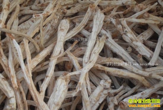 ���½۹��۸�����