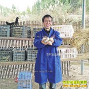 ����᯹��ش���ƽ������������Ѽ��������50��