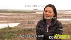 [�¸���]�㽭̨�ݳ�������Ӫũ����������Գ�ǧ��Ƹ�