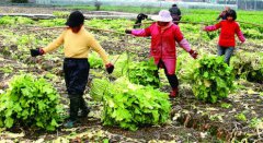 �㽭�������ѷ�ˮ���߲�����Ч���