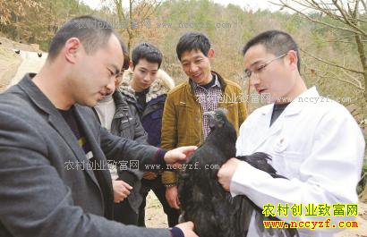 �Ĵ��Ͻ���������ֳ�ڷ��ڼ�Ч���