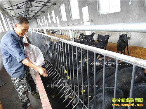 ����ɽ�򡱱䡰���ˡ� ����������ɽ��۸�ˮ�Ǵ���